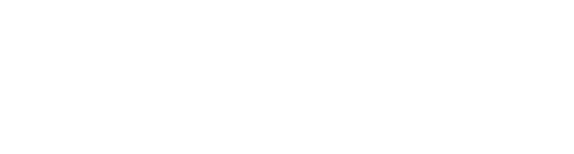 Letzee reaches 100 Projects